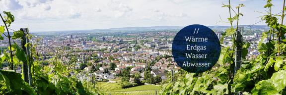 Blick auf Heilbronn vom Wartberg